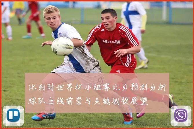 比利时世界杯小组赛比分预测分析球队出线前景与关键战役展望